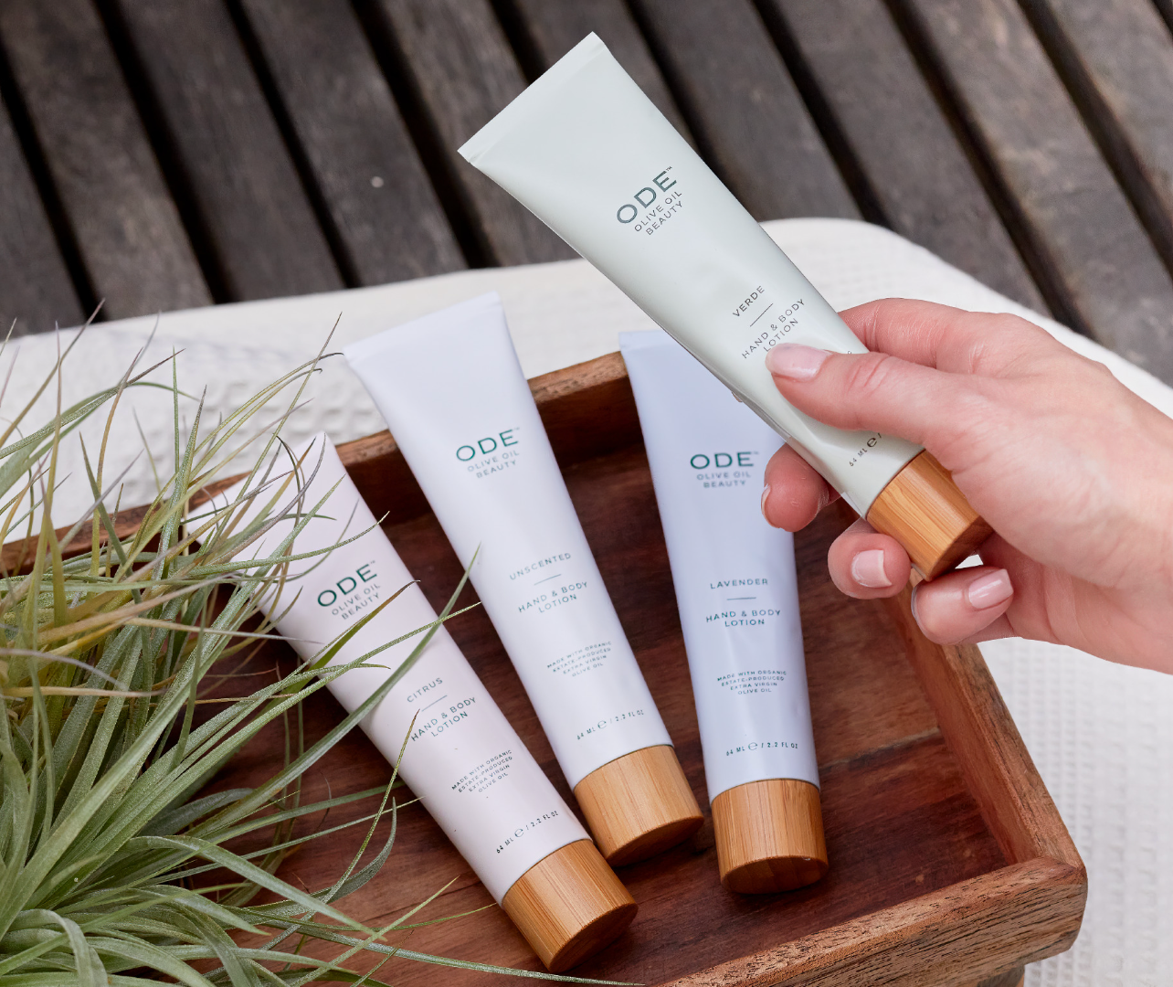 ODE Olive Oil Beauty Hand & Body Lotion Tube - Citrus