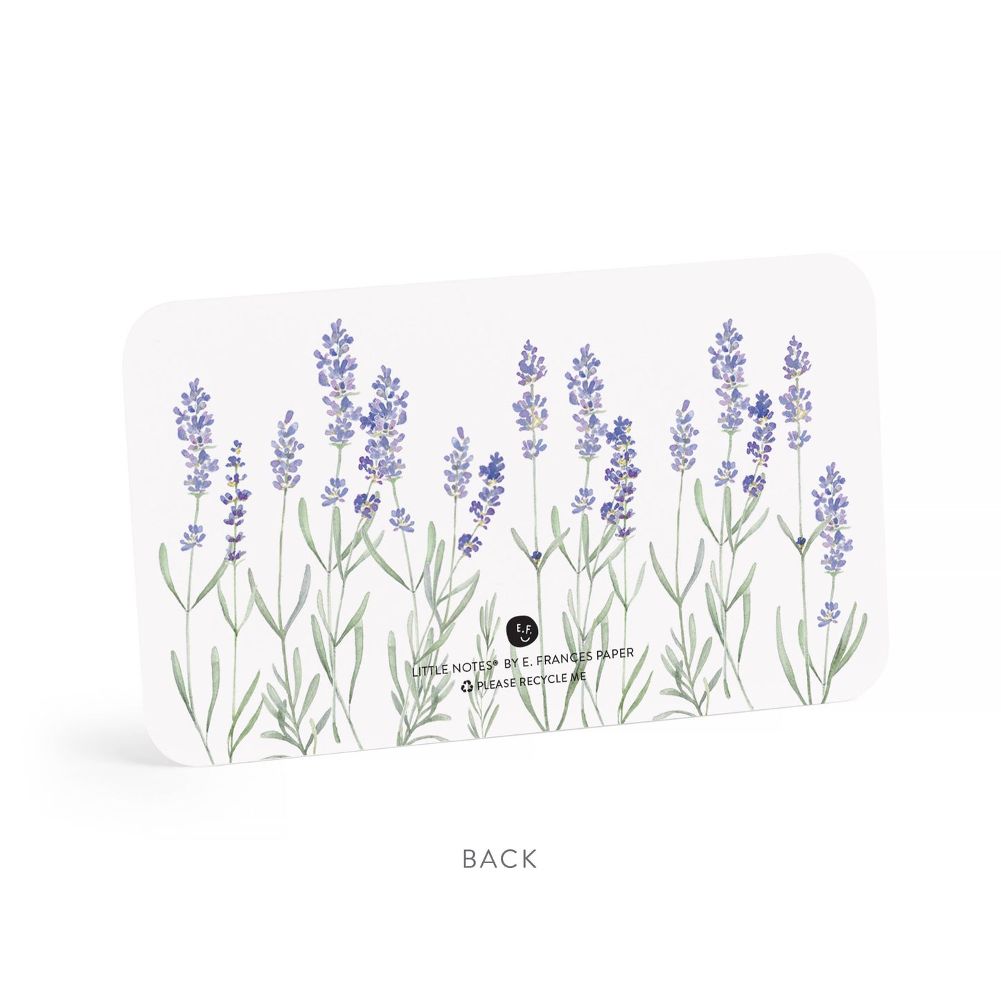 Lavender Little Notes® NEW 55 Count