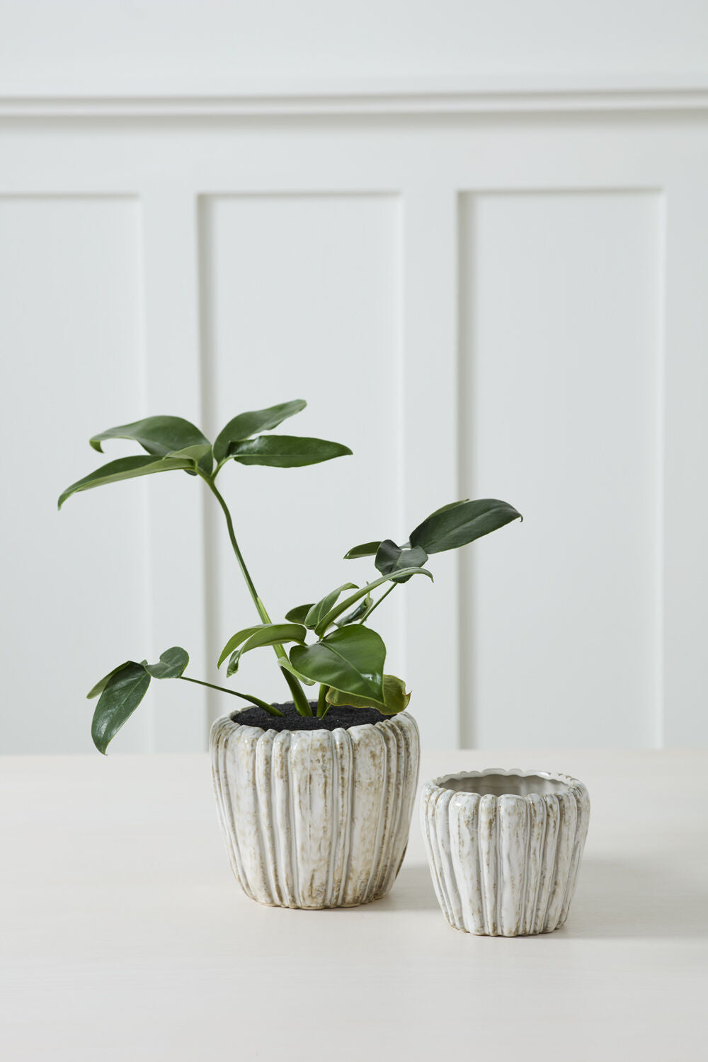 Cedric Pot