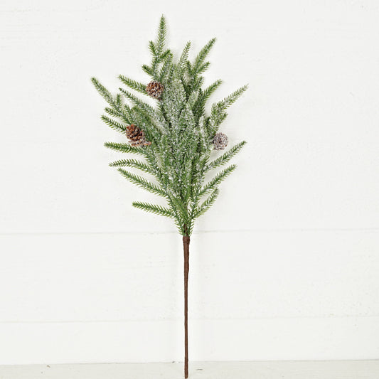 20in Spray-Snowy Soft Touch Norfolk Pine with Pinecone