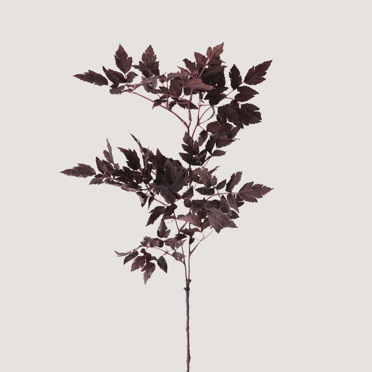 Plum Fake Cimicifuga Ramosa Leaves - 31"