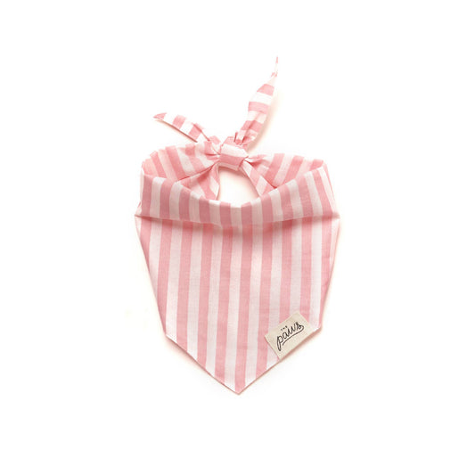 Cabana Blush Pink Dog Bandana