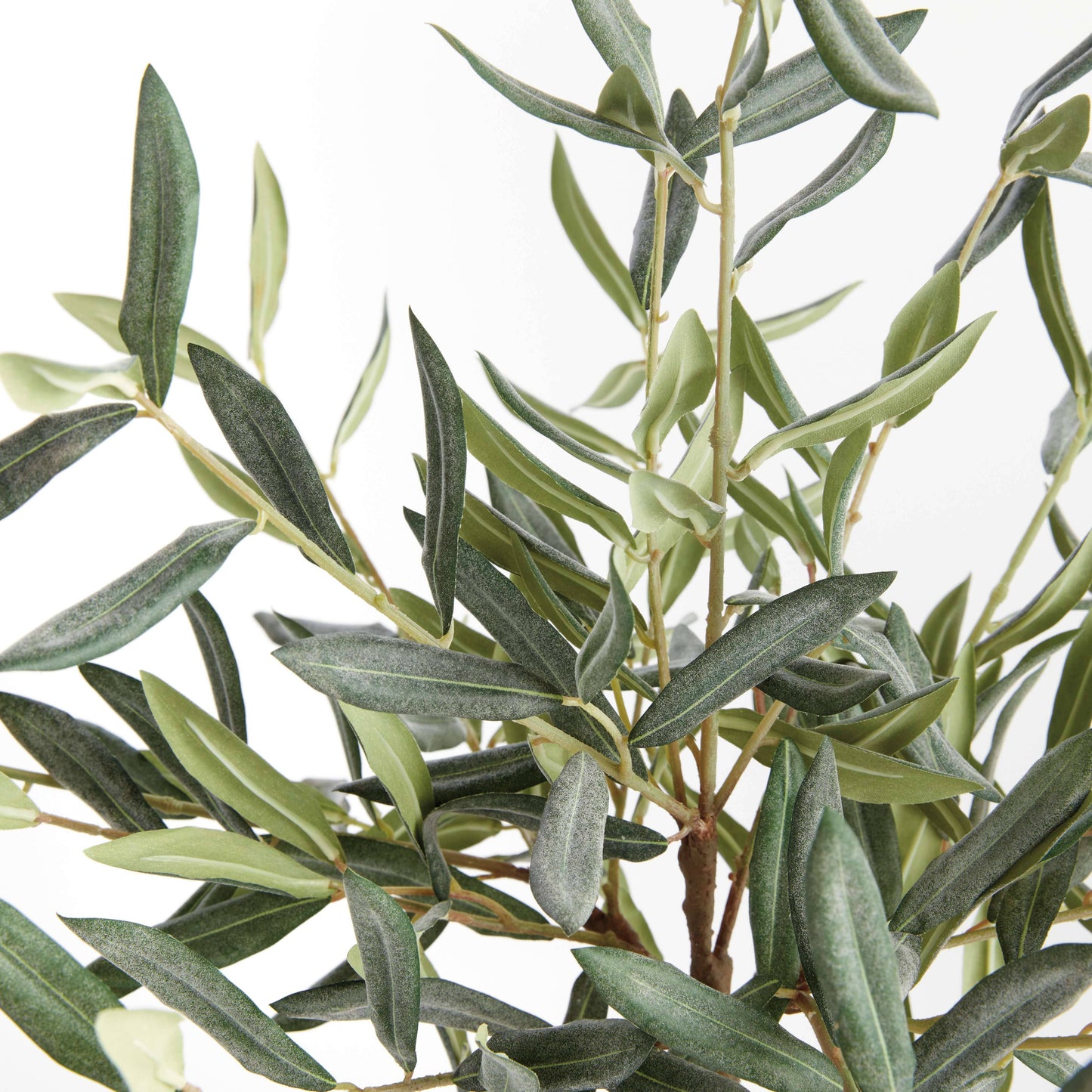 OLIVE TREE DROP-IN 17.5"