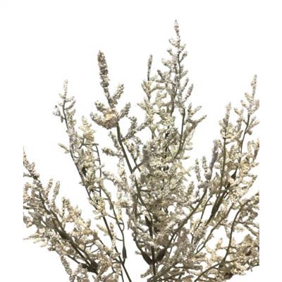 Faux Dried Caspia Bush - Cream 14''