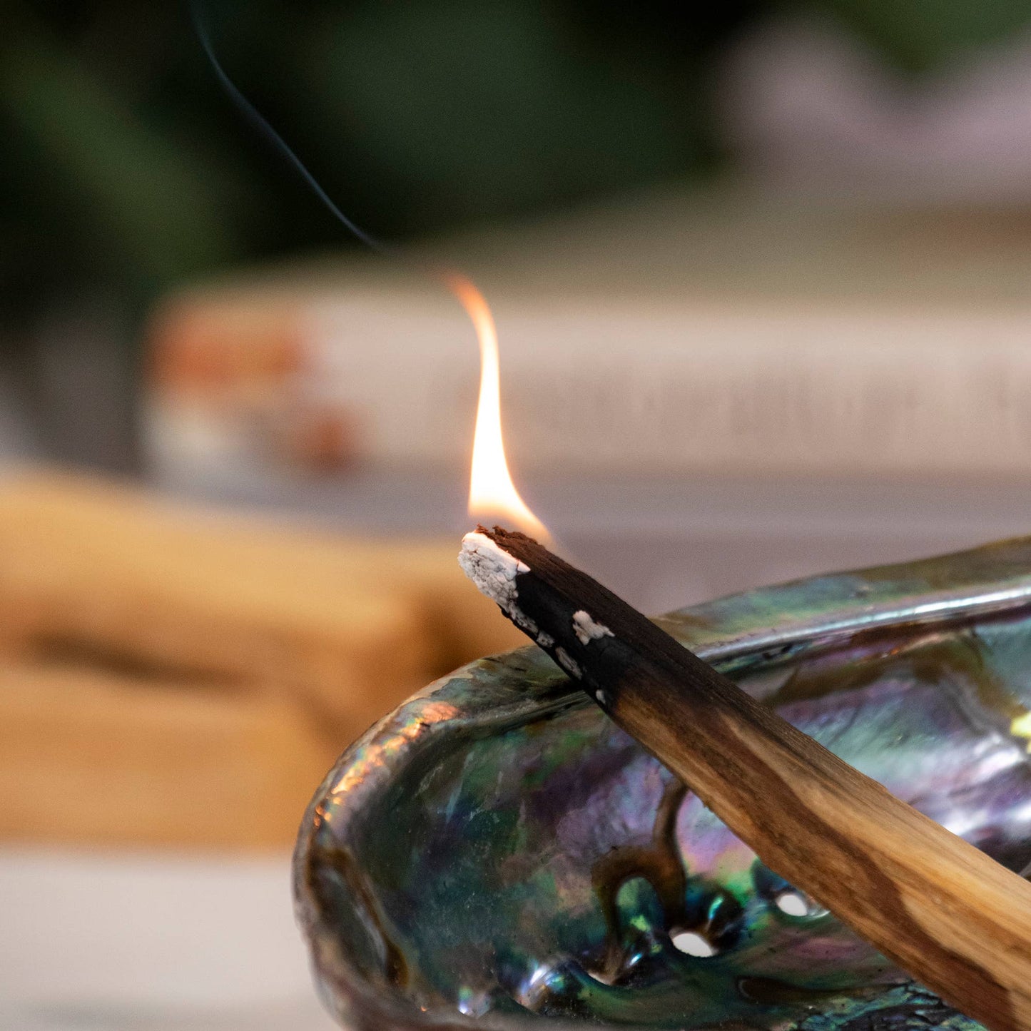 Palo Santo Smudge Sticks in Box
