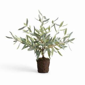 OLIVE TREE DROP-IN 17.5"
