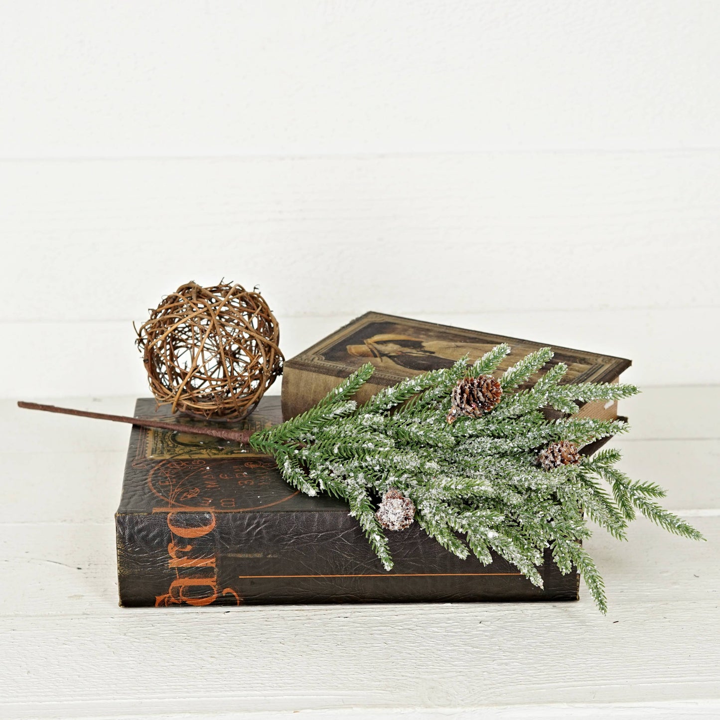 20in Spray-Snowy Soft Touch Norfolk Pine with Pinecone