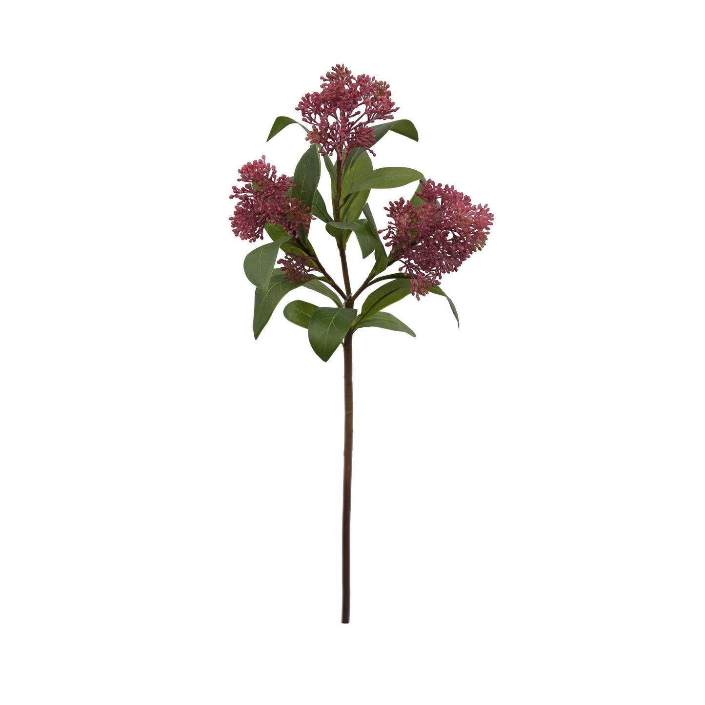 Viburnum Seed Stem - 21 Inch - Mauve