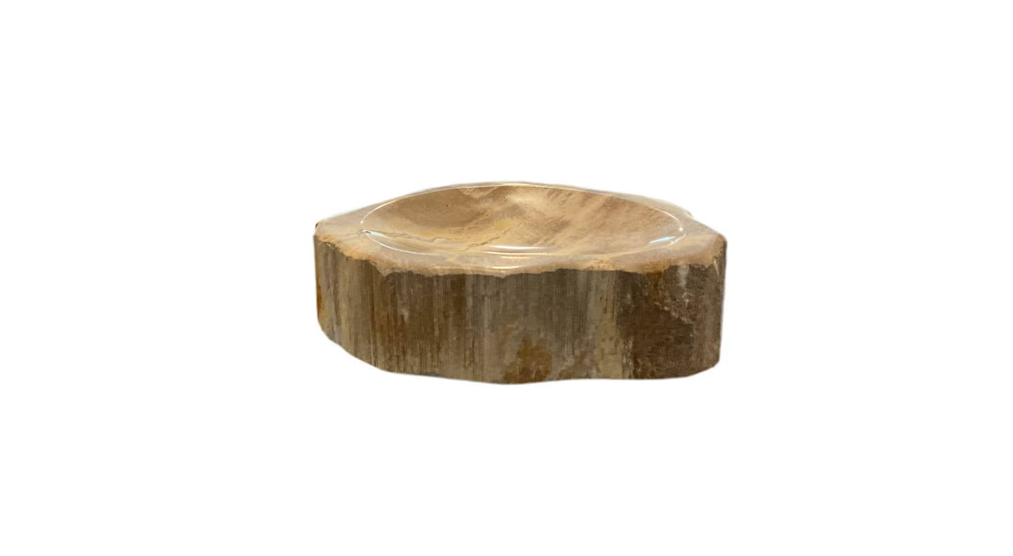 Petrified Wood Soap/Catchall Dish