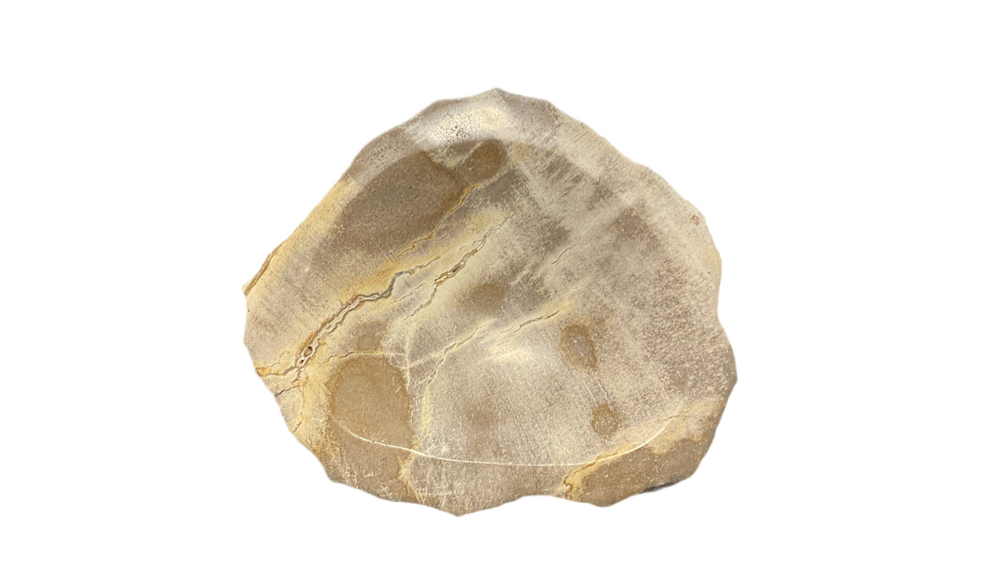 Petrified Wood Soap/Catchall Dish