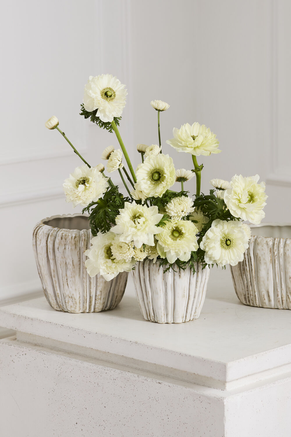 Cedric Pot