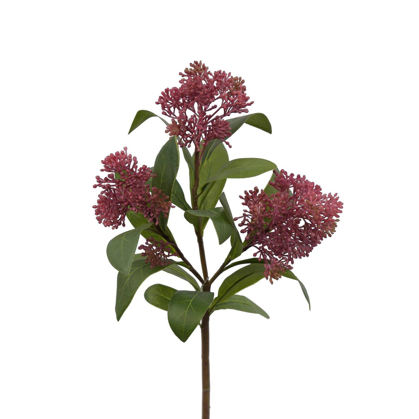Viburnum Seed Stem - 21 Inch - Mauve