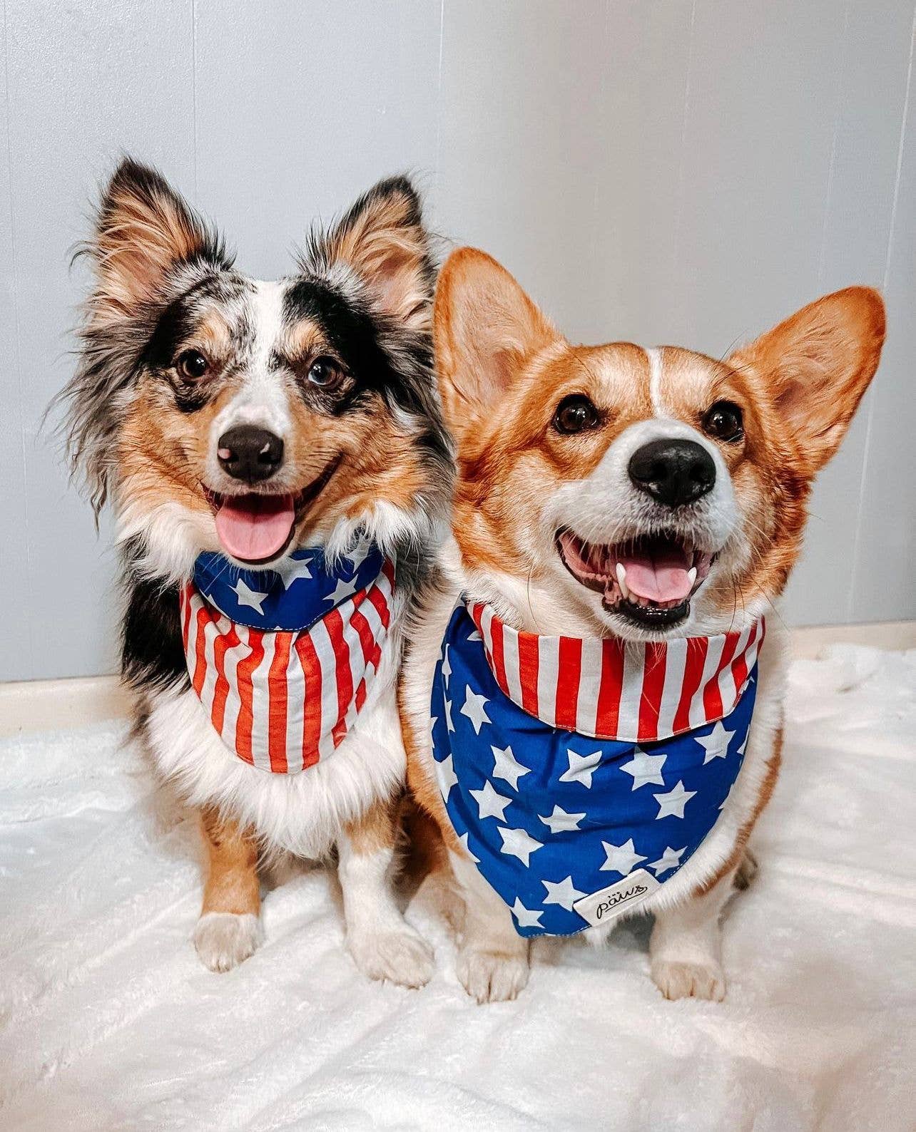 Patriotic Dog Bandana