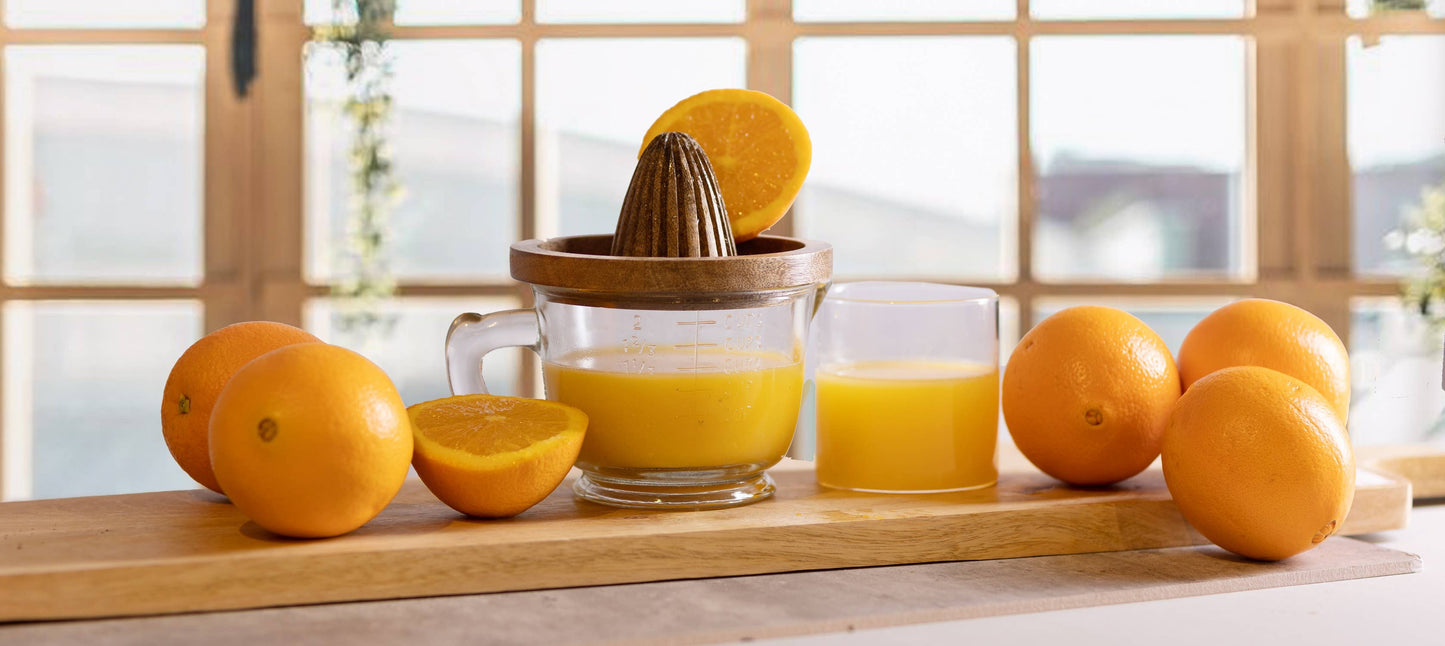 Wood Juicer with Glass Cup