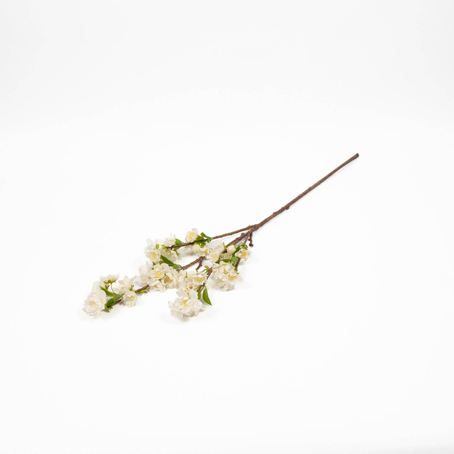 Cherry Blossom Branch - White - 30 Inch