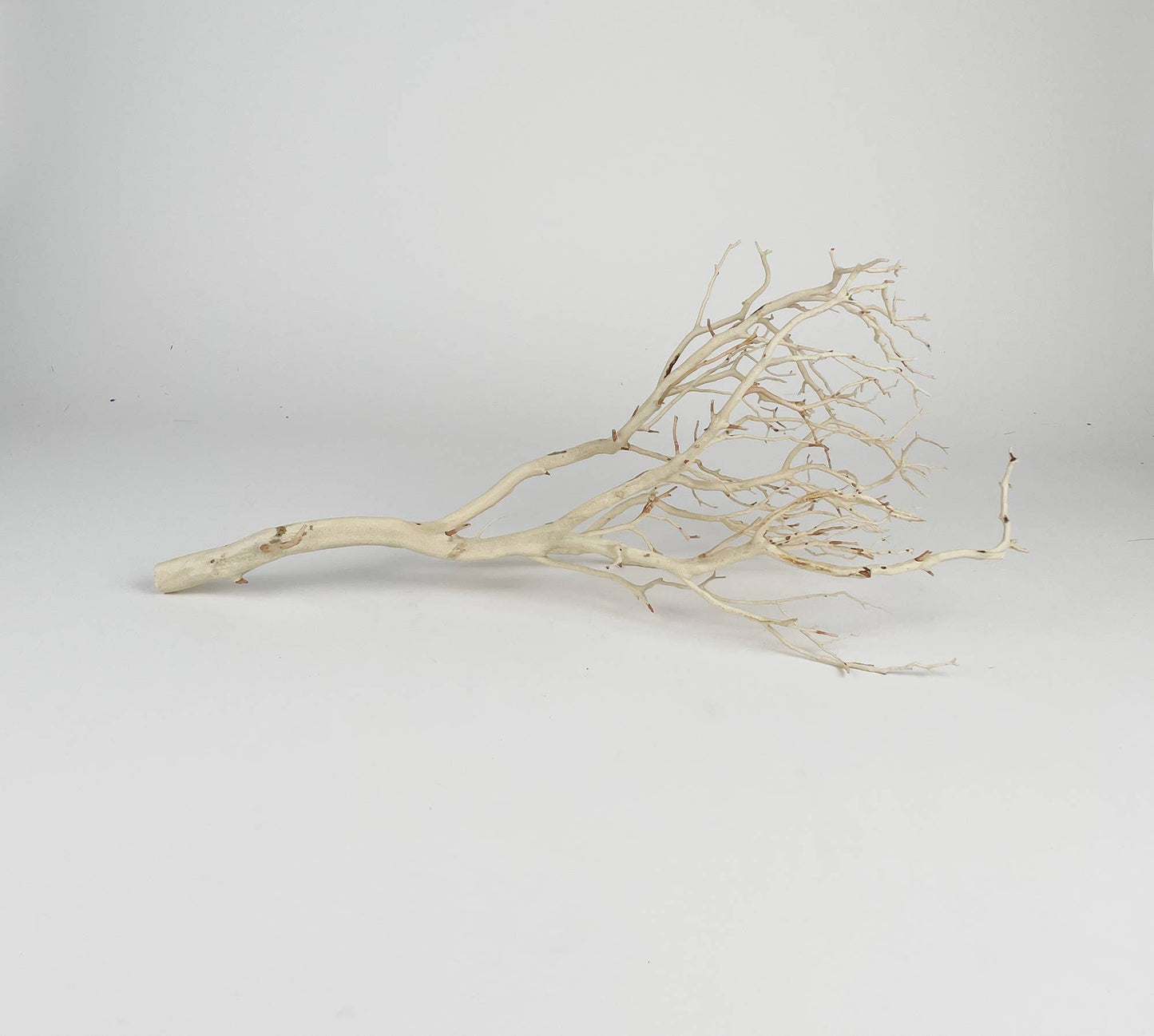 Manzanita Sandblasted Branches