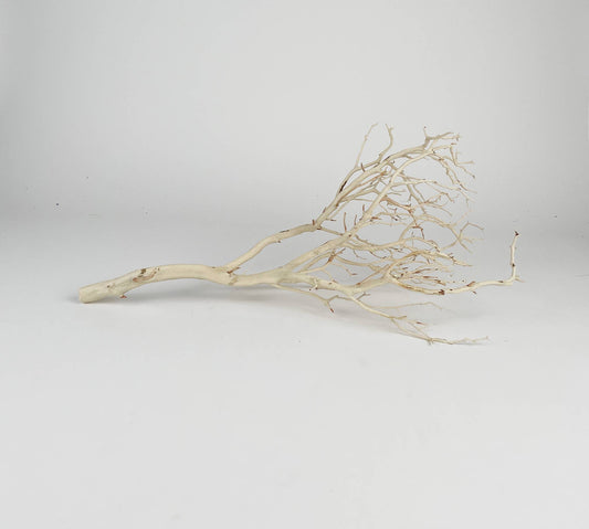 Manzanita Sandblasted Branches