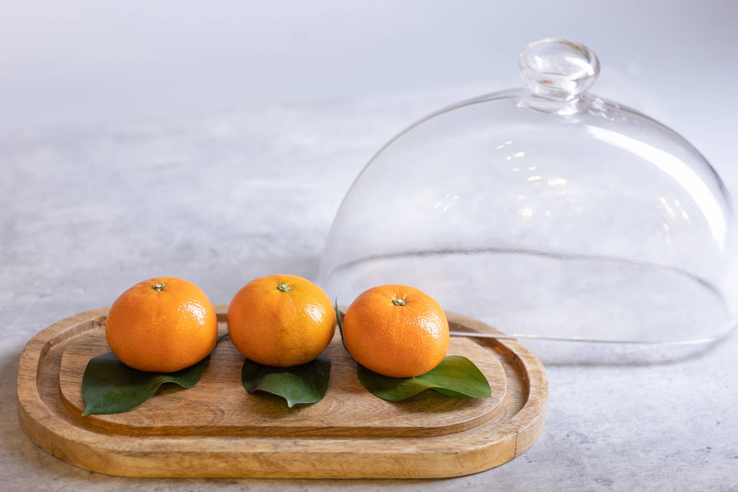 Mango Wood & Glass Oval Food Dome/Plate